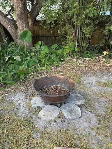 a view of a backyard with plants and a fountain