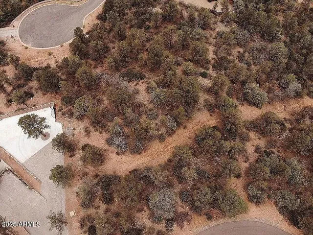 a view of a dry yard with green space