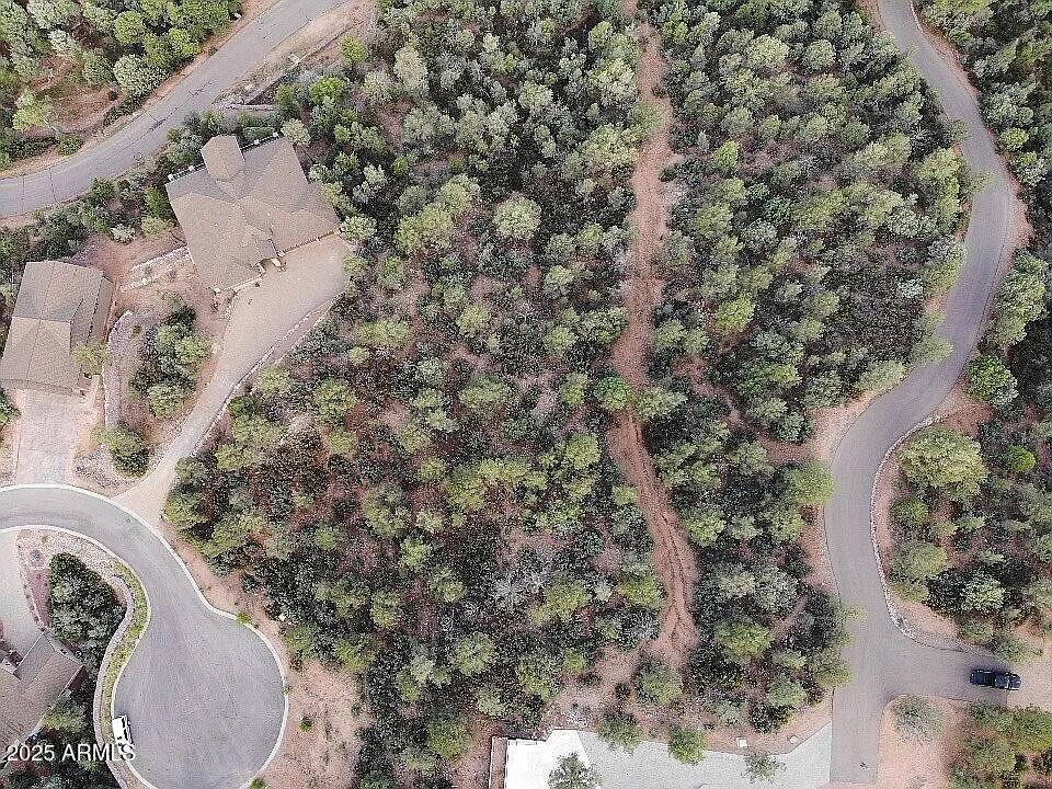 1214 North Marissa Circle, Unit 9 Payson, AZ 85541 - Photo 10 of 12 view of a forest with a house