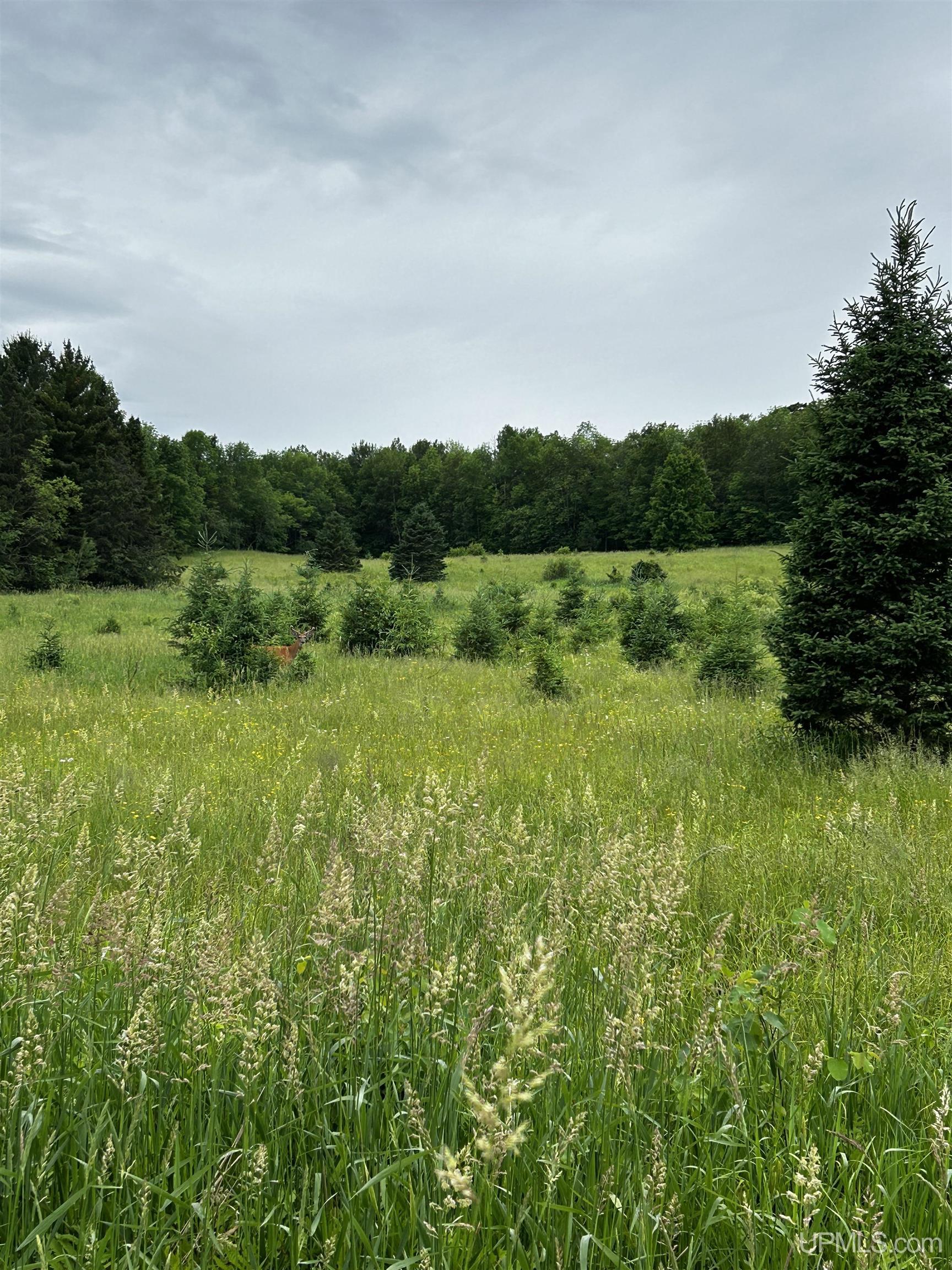 N8803 East End Road Ironwood, MI 49938 - Photo 58 of 64