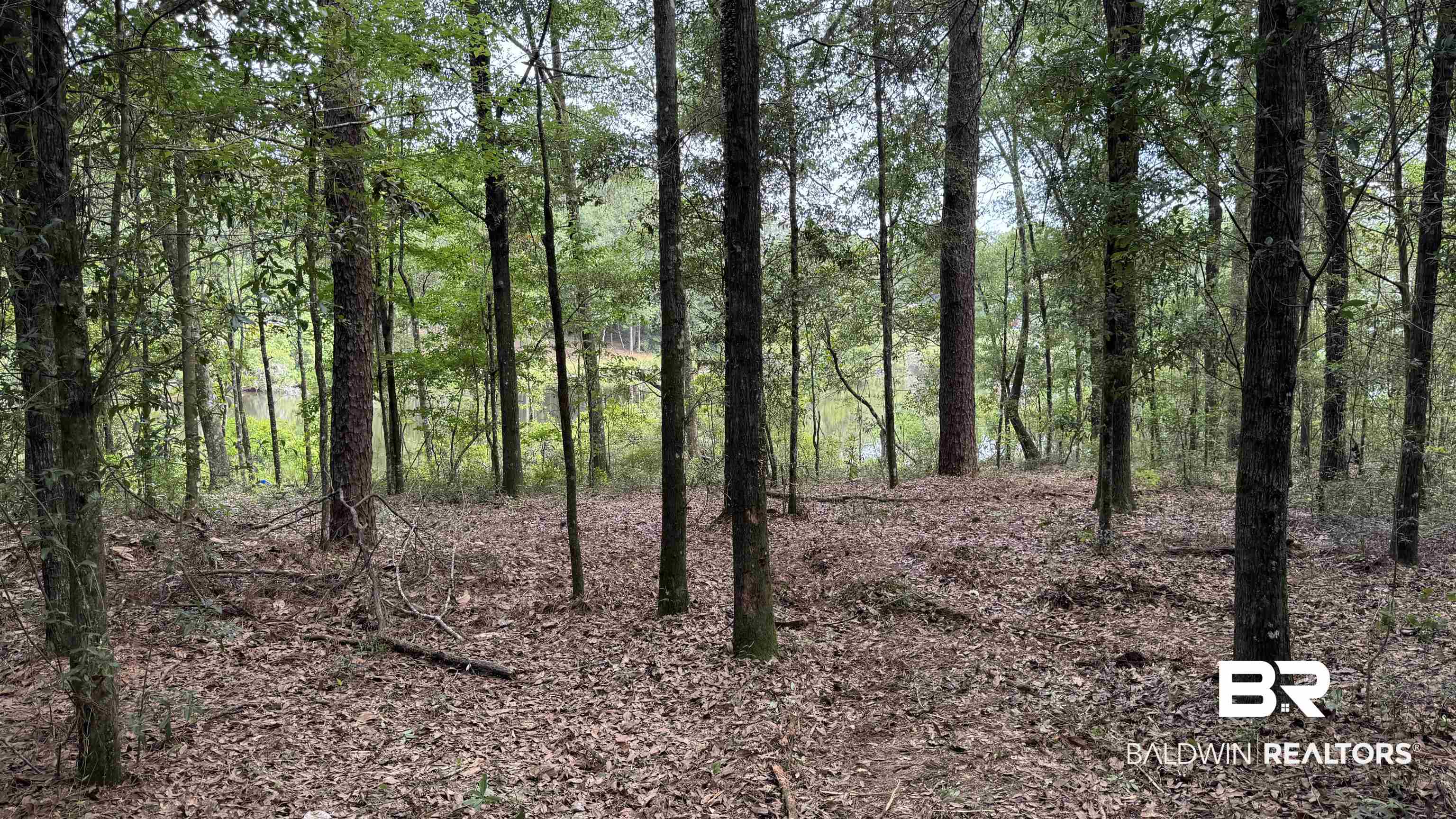 0 US Highway 98 Semmes, AL 36575 - Photo 14 of 24