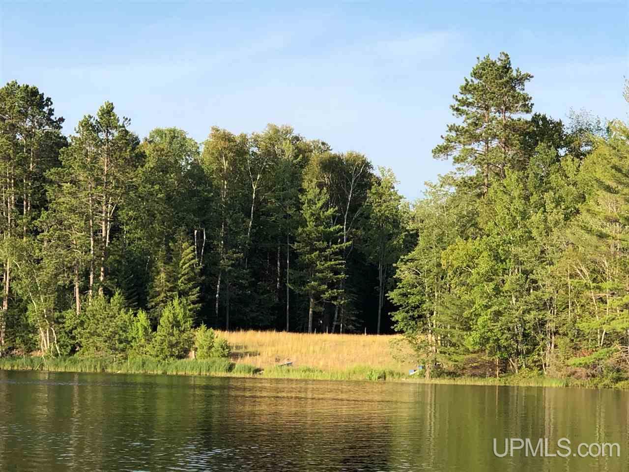 14665 Mahskeekee Lake 33 Rd (co Rd 442) Wetmore, MI 49895 - Photo 7 of 9