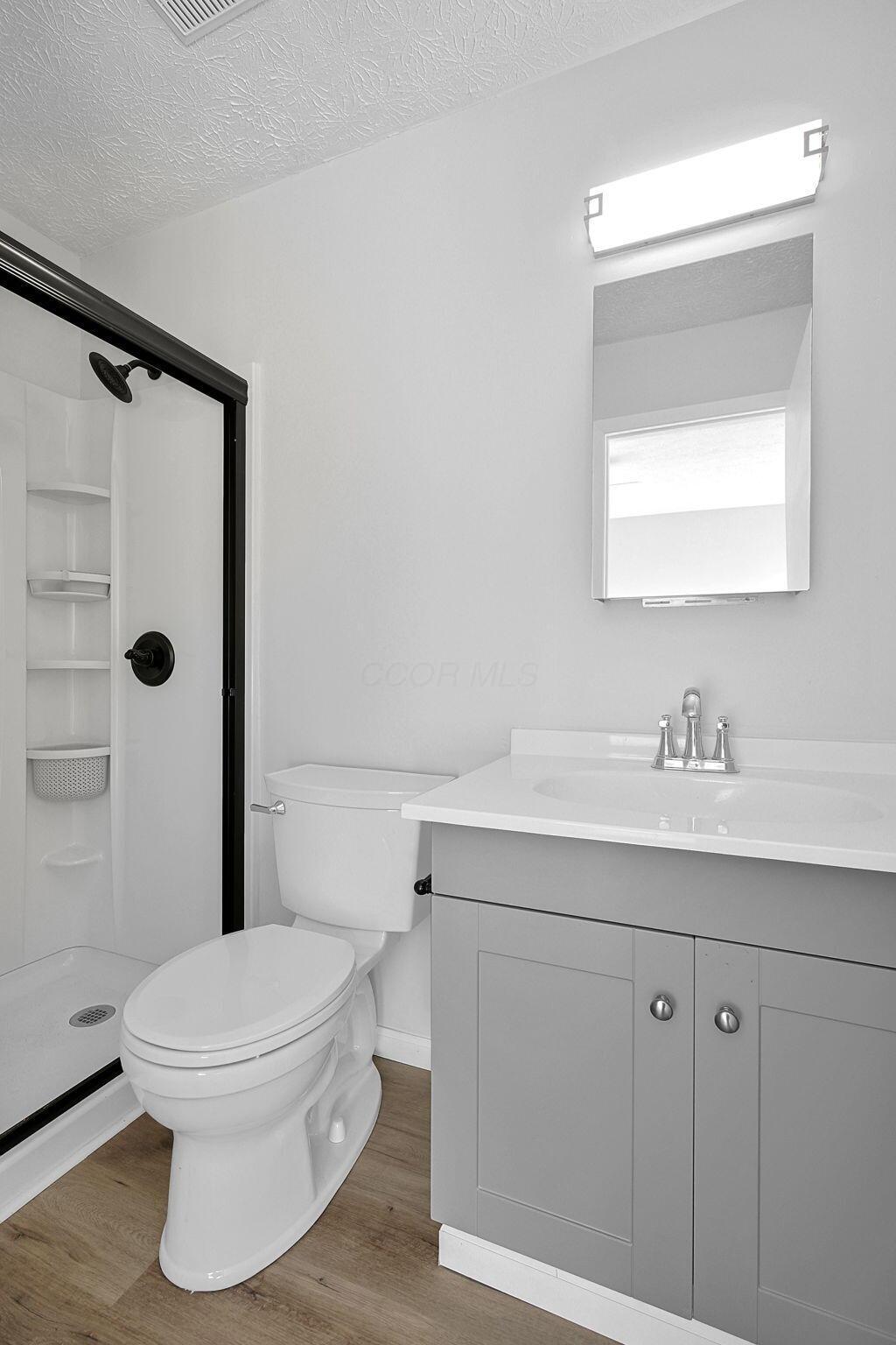 1187 Rendezvous Lane Columbus, OH 43207 - Photo 19 of 43 Owners Private Bath