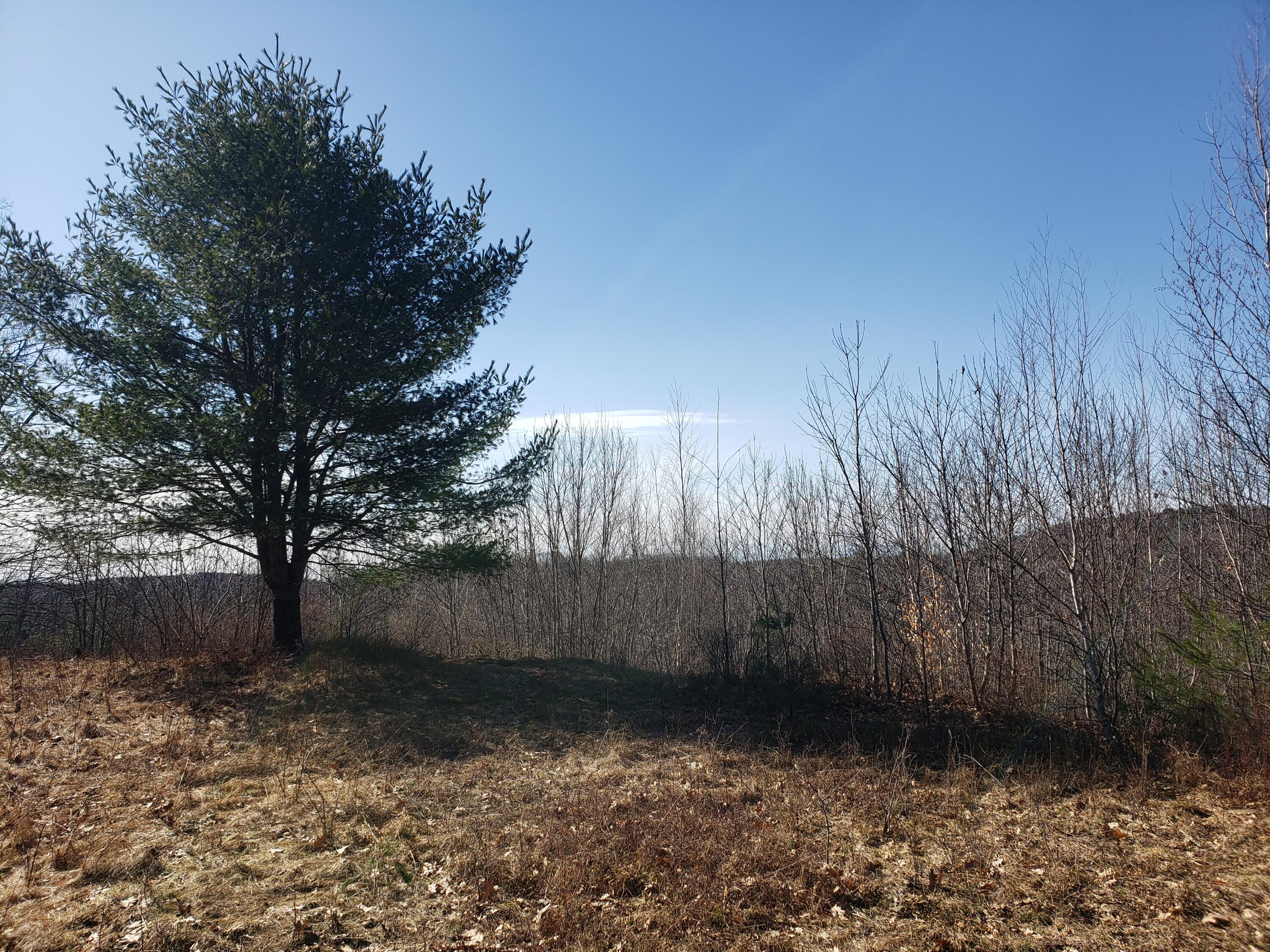 547 Marsh Road Sabattus, ME 04280 - Photo 9 of 16 view 1