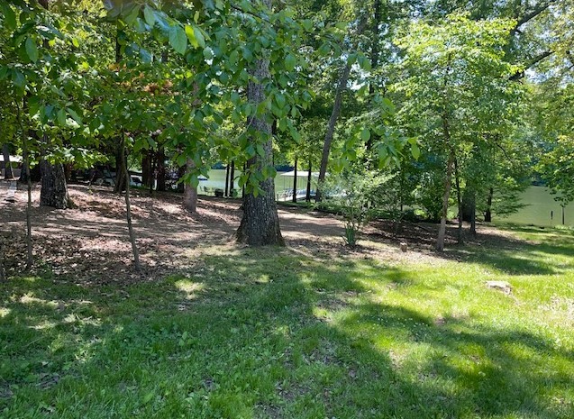 1193 Dripping Springs Road Winchester, TN 37398 - Photo 10 of 39