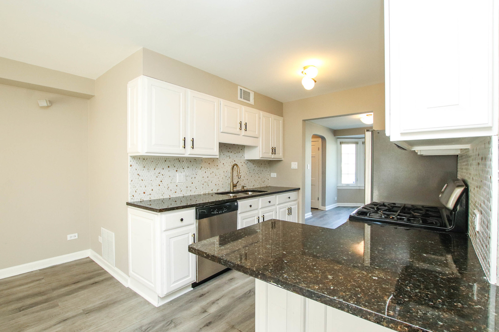 5815 North Canfield Avenue Chicago, IL 60631 - Photo 9 of 28 a kitchen with granite countertop a stove sink and cabinets