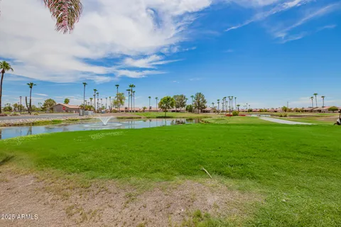 a palm tree sitting in front of a house with a yard