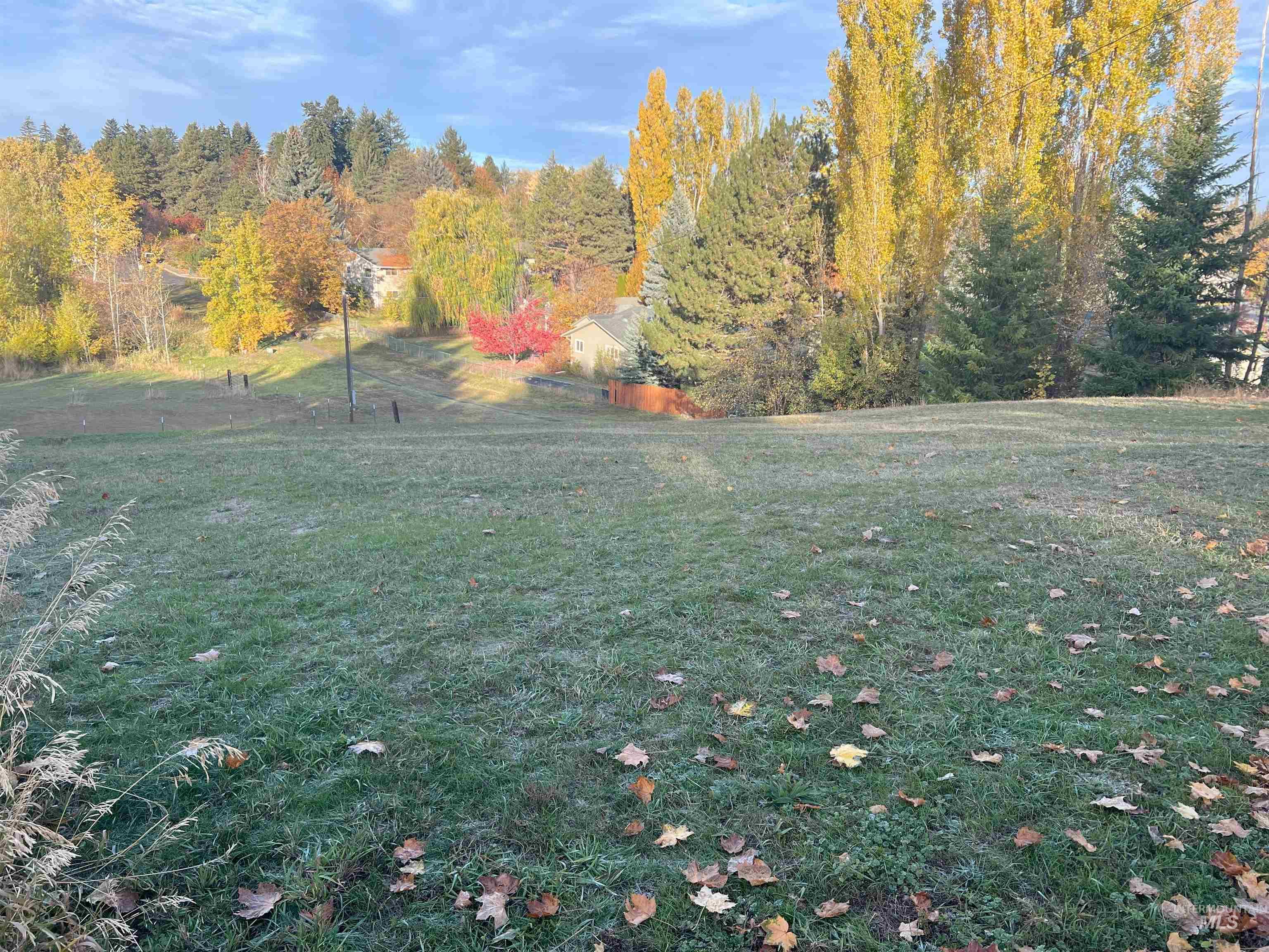 0 Mt View Road Moscow, ID 83843 - Photo 1 of 5