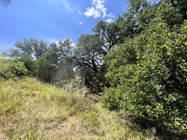 a view of a big yard with swimming pool and green space