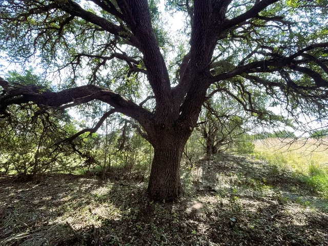 a view of swimming pool from a lake