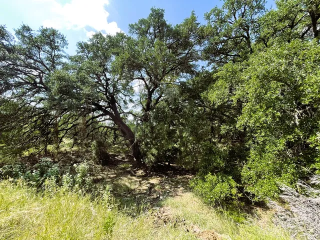 $315,000 | 153 Live Oak Mott, Goldthwaite, TX 76844