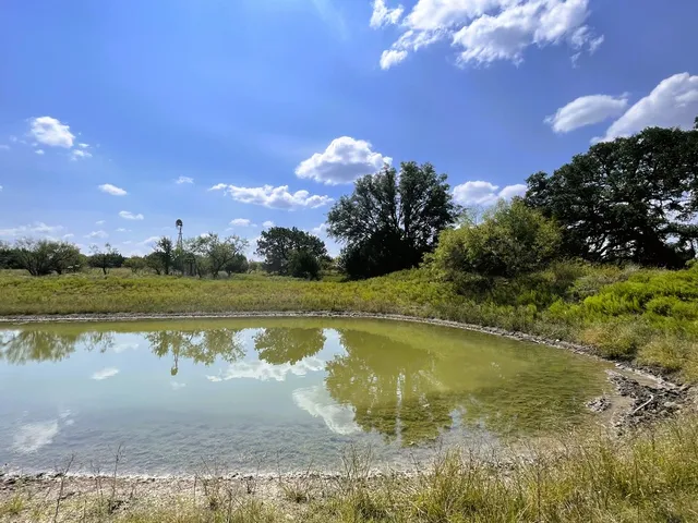 a view of a lake from a yard