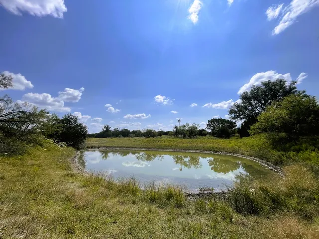 a view of a lake from a yard