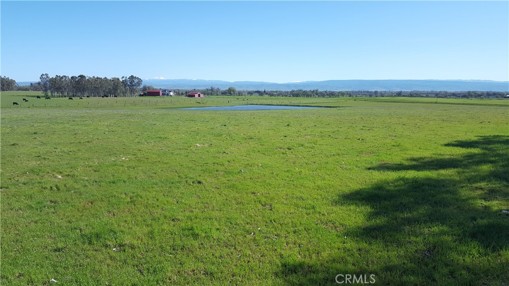 0 Unassigned Name Road Corning, CA 96021 - Photo 1 of 1 Easterly View from knoll