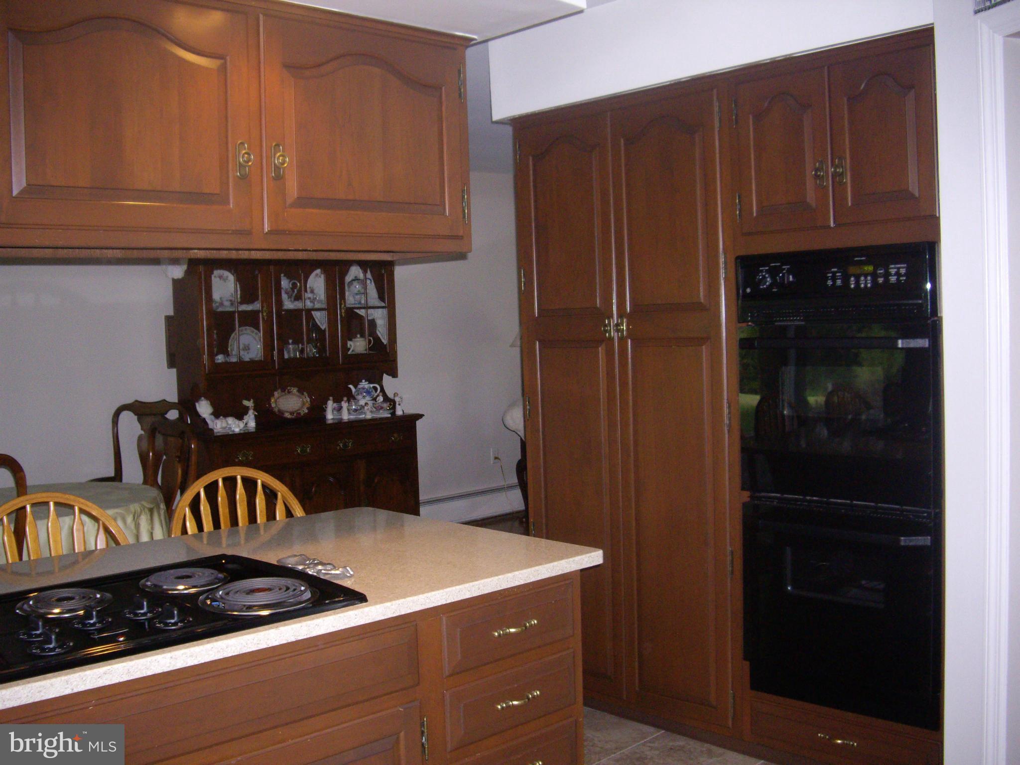 15307 Dellinger Road Williamsport, MD 21795 - Photo 15 of 29 Kitchen