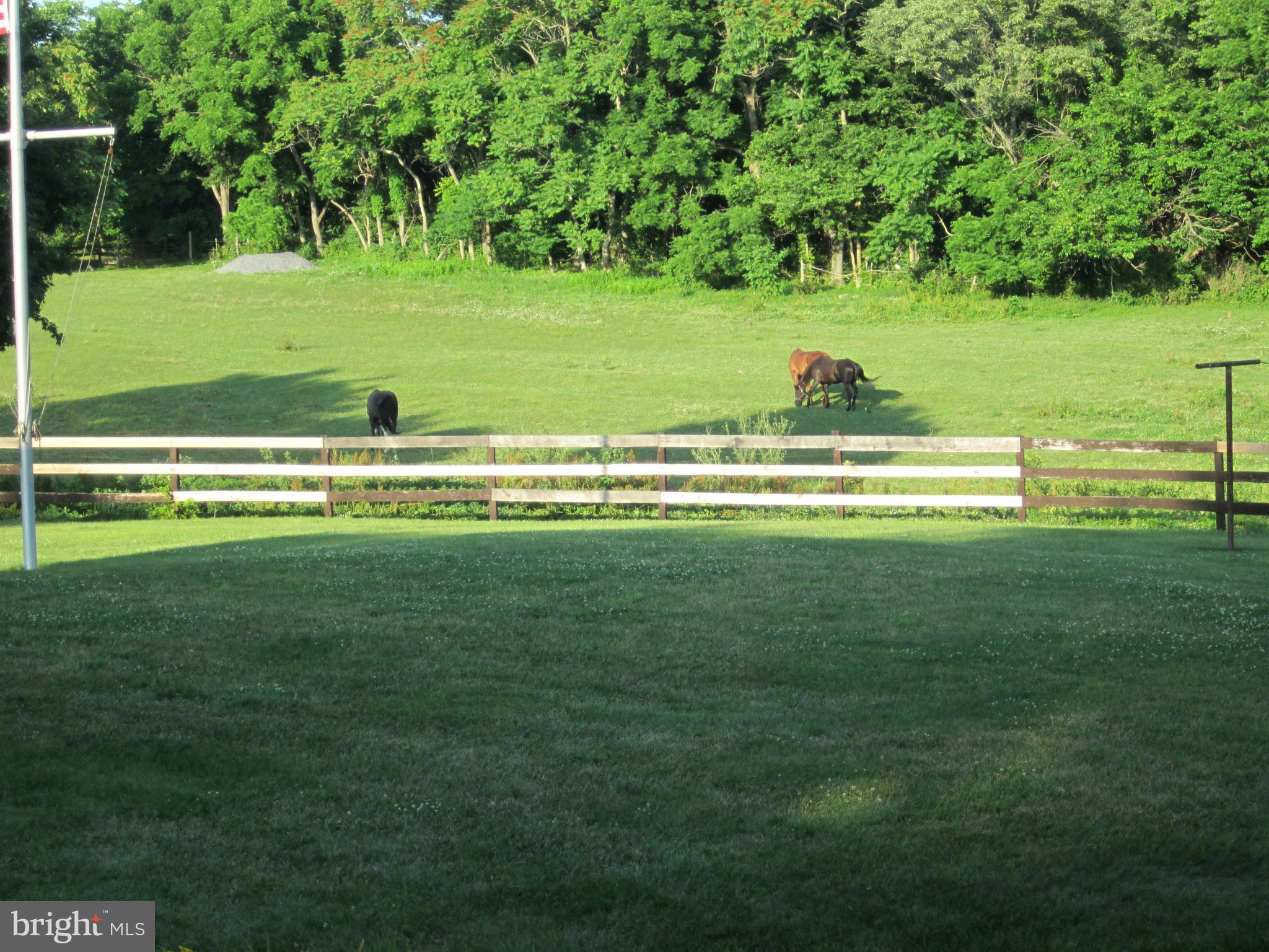 15307 Dellinger Road Williamsport, MD 21795 - Photo 7 of 29 View