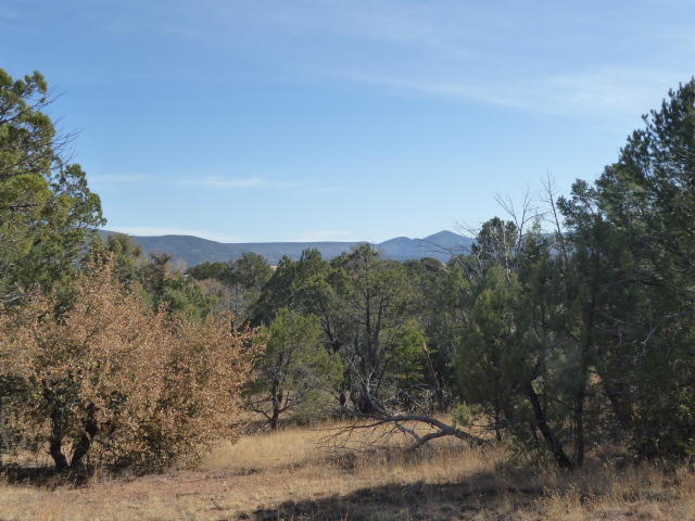155 Mail Trail Road Young, AZ 85554 - Photo 6 of 6