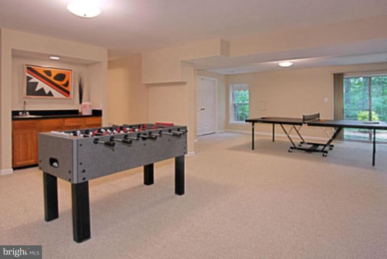11978 Grey Squirrel Lane Reston, VA 20194 - Photo 11 of 21 Finished Lower Level