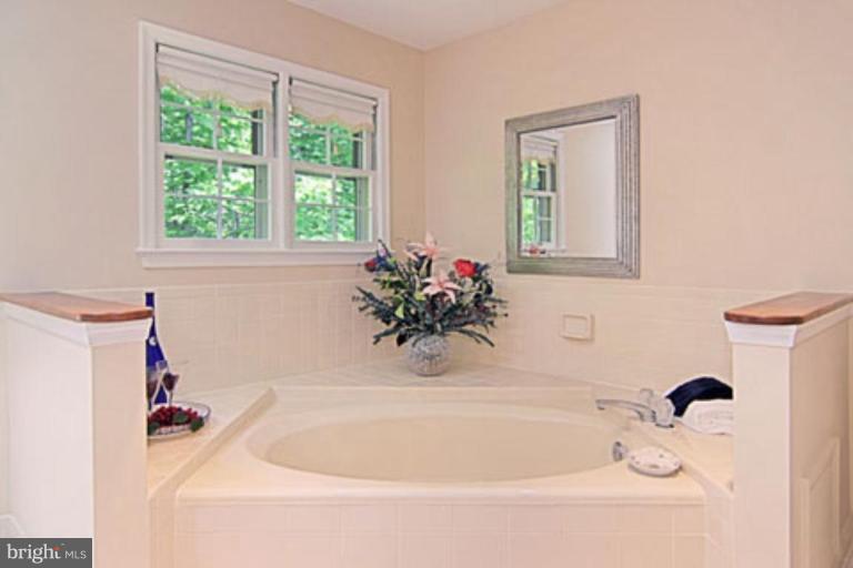11978 Grey Squirrel Lane Reston, VA 20194 - Photo 17 of 21 Master Bath