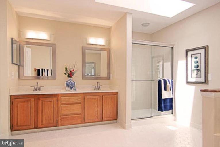 11978 Grey Squirrel Lane Reston, VA 20194 - Photo 18 of 21 Master Bath #2