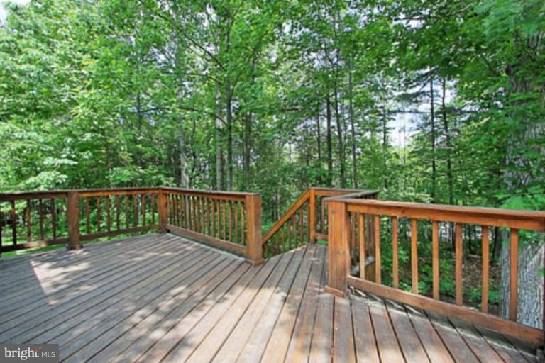 11978 Grey Squirrel Lane Reston, VA 20194 - Photo 3 of 21 Deck