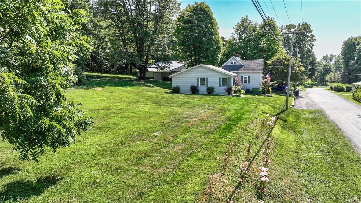 38610 Spiedel Town Road Bethesda, OH 43719 - Photo 7 of 33 View of yard