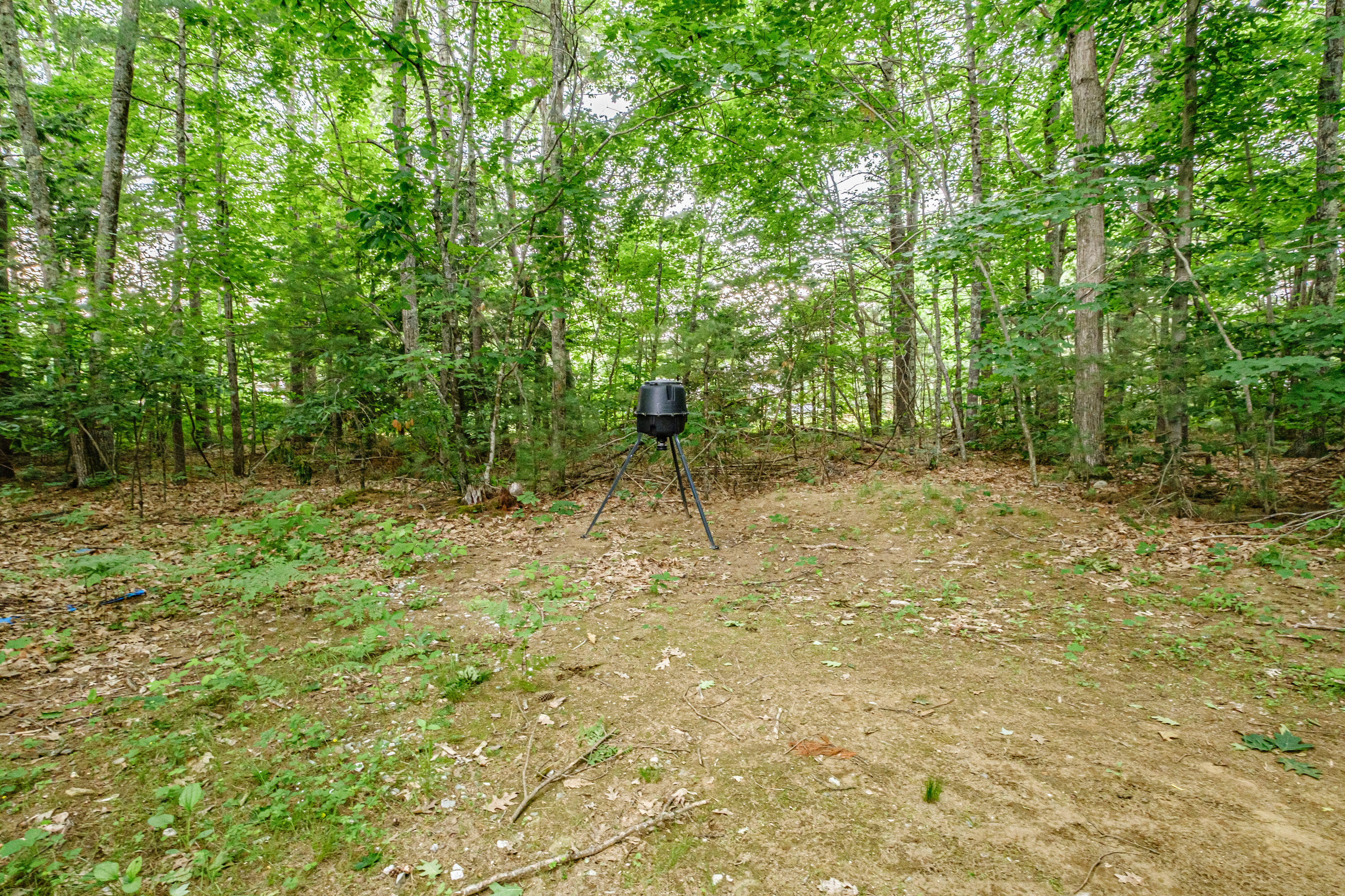 18 Cheechako Road Buxton, ME 04093 - Photo 60 of 65 20240617gp-66081
