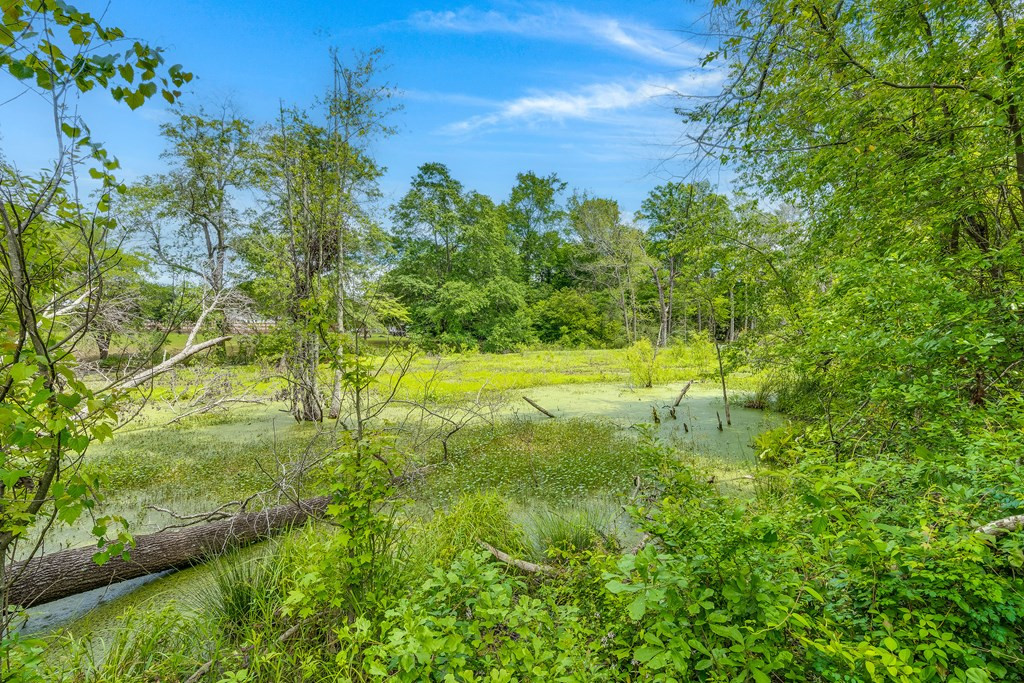 4818 Norway Road Norway, SC 29113 - Photo 29 of 29 Photo 29
