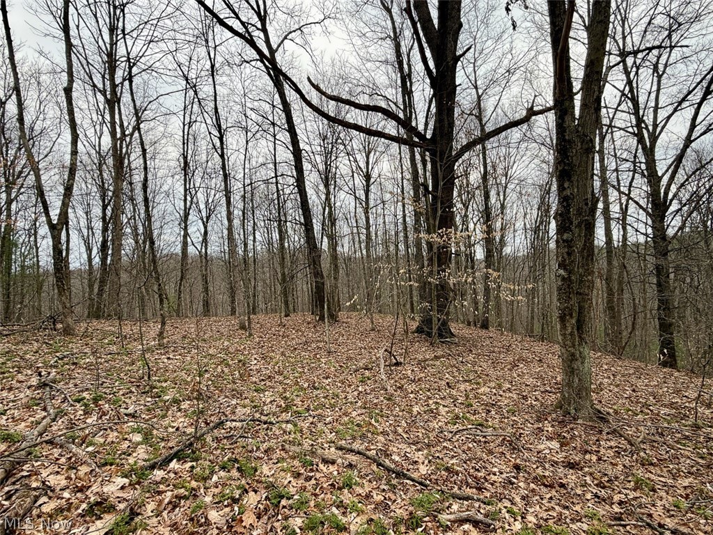 Hanson Road Beverly, OH 45715 - Photo 6 of 45