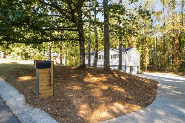 a view of a yard with plants and trees