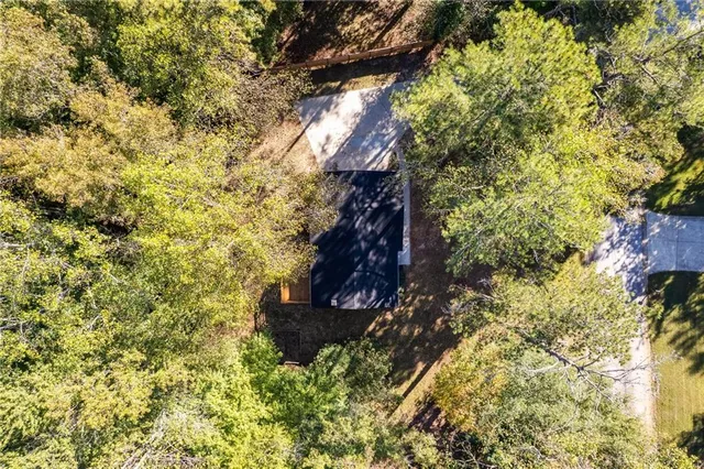 a view of a tree in a yard with a tree