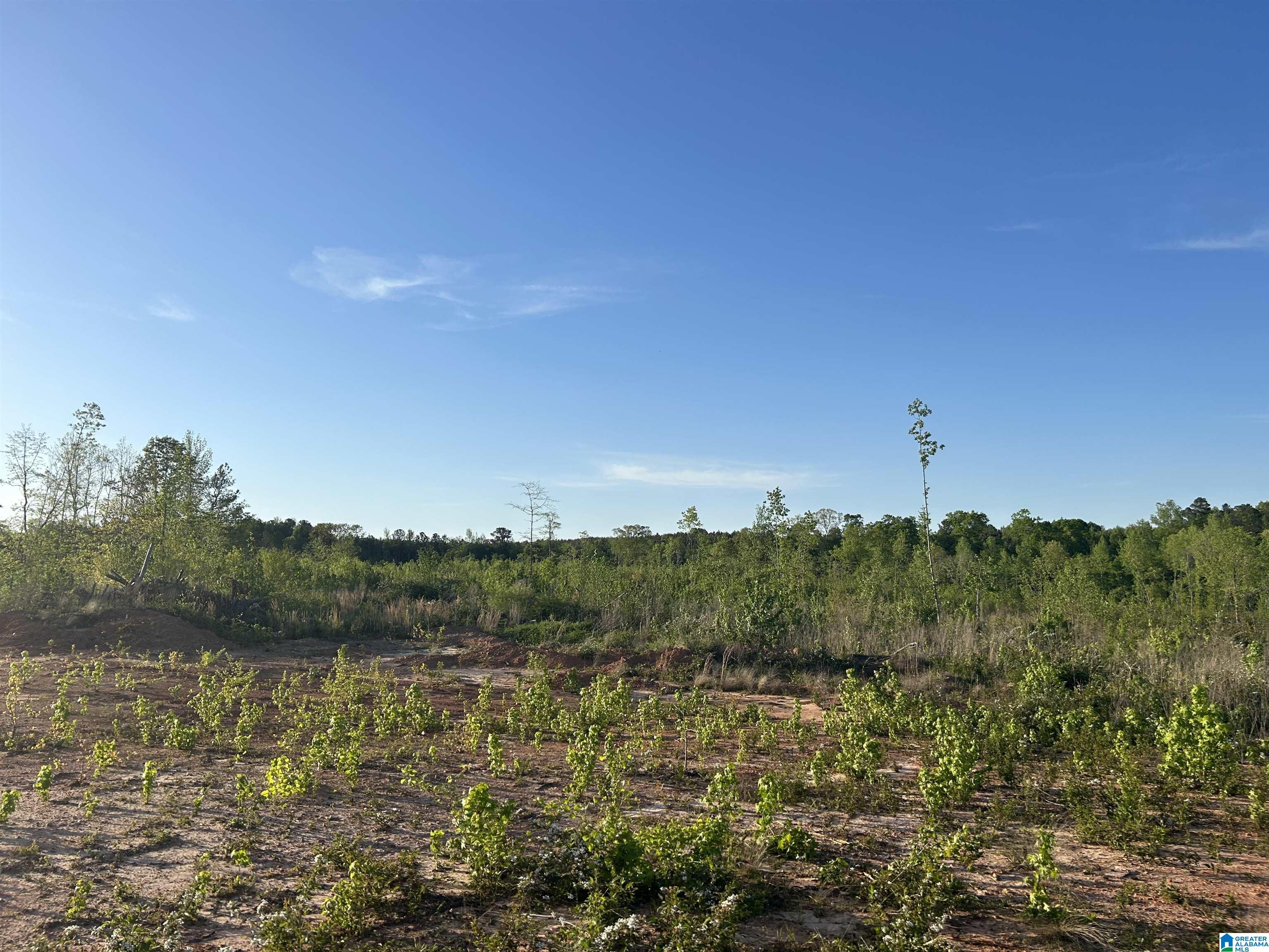 639 County Road, Unit TRACT 3 18 Roanoke, AL 36274 - Photo 6 of 8