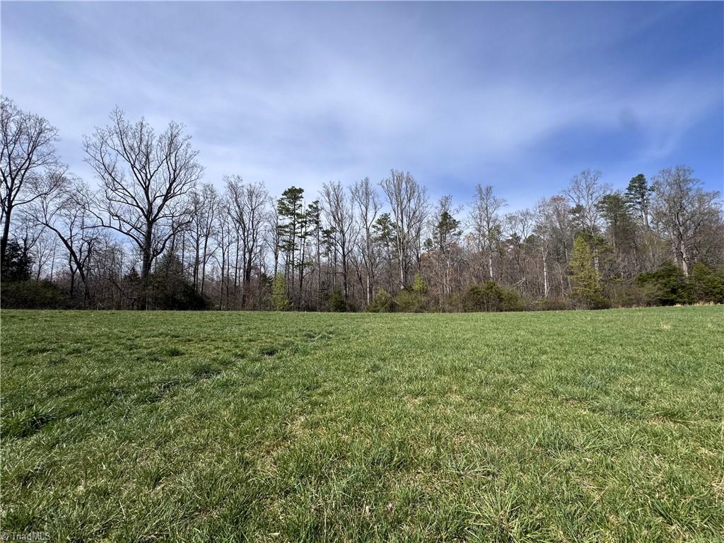 Tbd Timberlake Trail Elkin, NC 28621 - Photo 4 of 12 Gallery Image 4