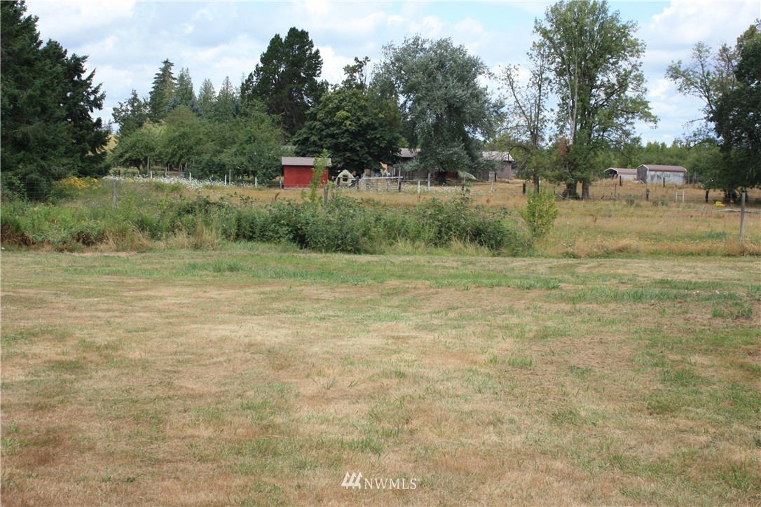 171 Poetsch Road Toledo, WA 98591 - Photo 21 of 23 a view of a field with trees in the background