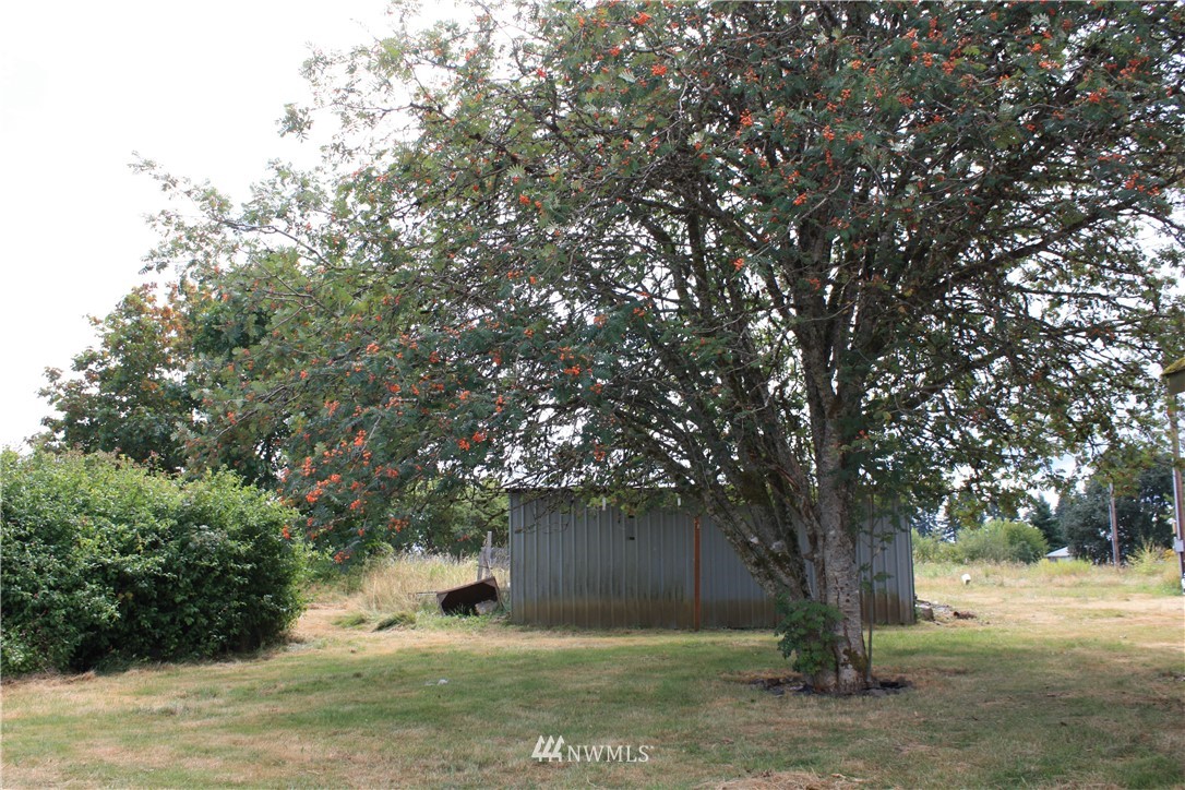171 Poetsch Road Toledo, WA 98591 - Photo 22 of 23 a view of a yard with a tree