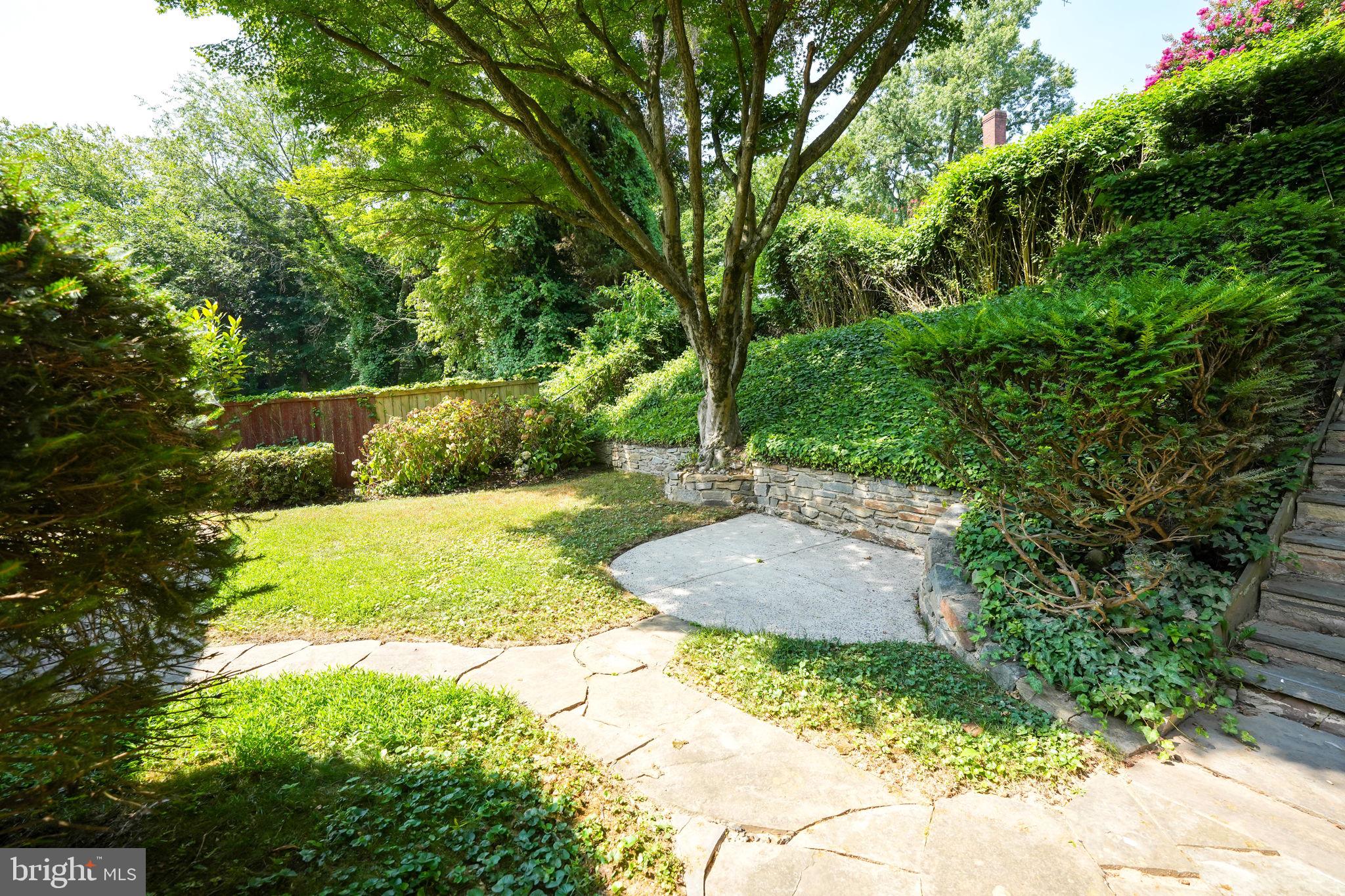 8504 Sundale Drive Silver Spring, MD 20910 - Photo 33 of 39