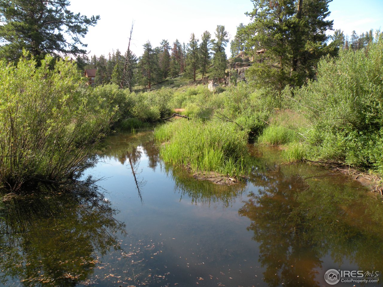 447 Huron Road Red Feather Lakes, CO 80545 - Photo 4 of 16 Gallery Image 4