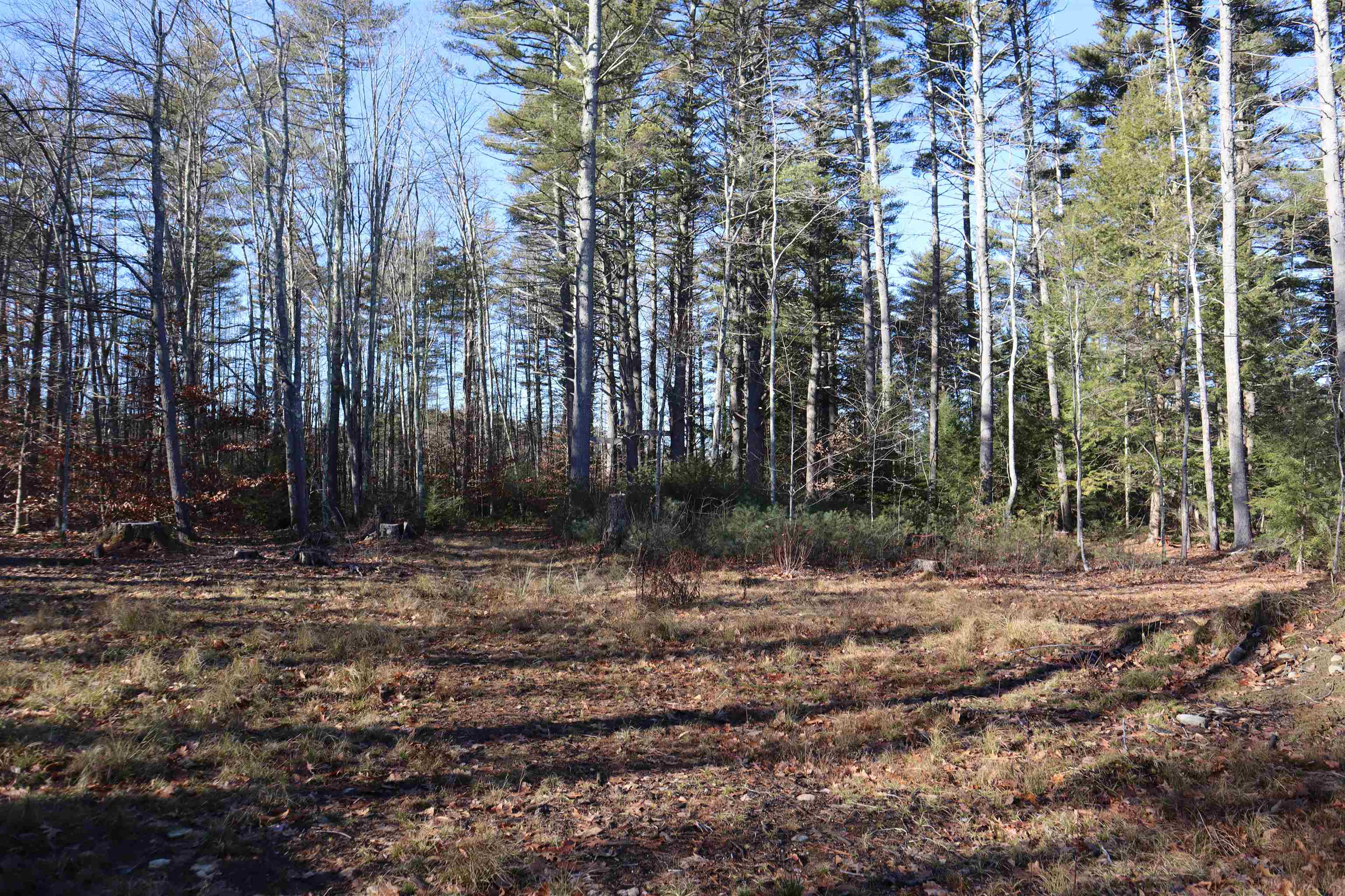 2 Bow Lake Road Barnstead, NH 03225 - Photo 14 of 22