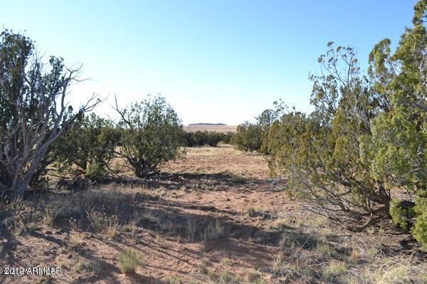 3858 Hidden Ranch Road, Unit 103 Snowflake, AZ 85937 - Photo 1 of 19 F560737F1BBD38C1