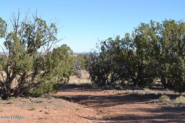 3858 Hidden Ranch Road, Unit 103 Snowflake, AZ 85937 - Photo 15 of 19 DAE5AA2ED041D8B1