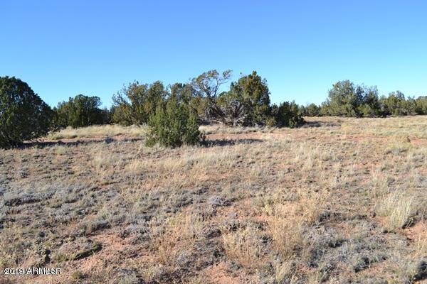 3858 Hidden Ranch Road, Unit 103 Snowflake, AZ 85937 - Photo 8 of 19 89E79792FFAE2EE1
