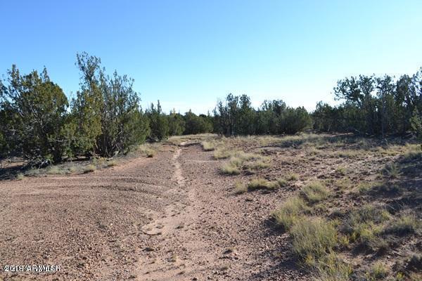3858 Hidden Ranch Road, Unit 103 Snowflake, AZ 85937 - Photo 10 of 19 984AD86E7BF80F01