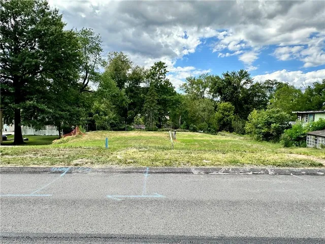 a view of a yard with a large tree