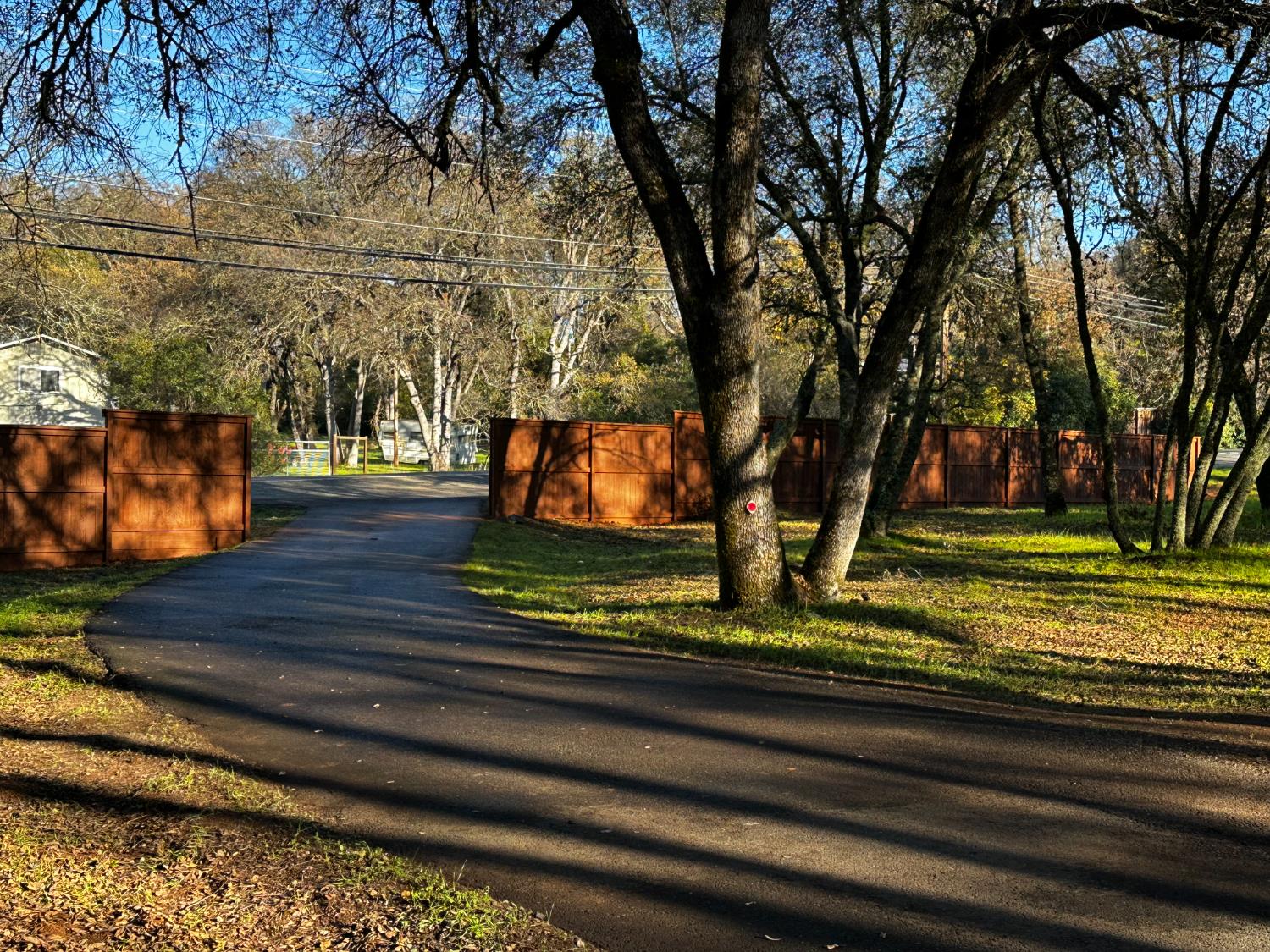 3790 Ponderosa Road Shingle Springs, CA 95682 - Photo 3 of 54