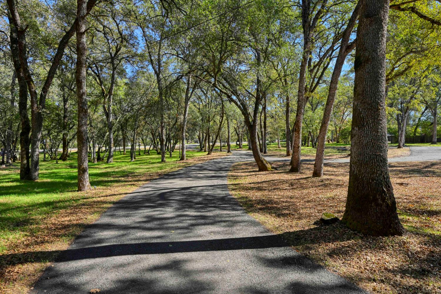 3790 Ponderosa Road Shingle Springs, CA 95682 - Photo 38 of 54