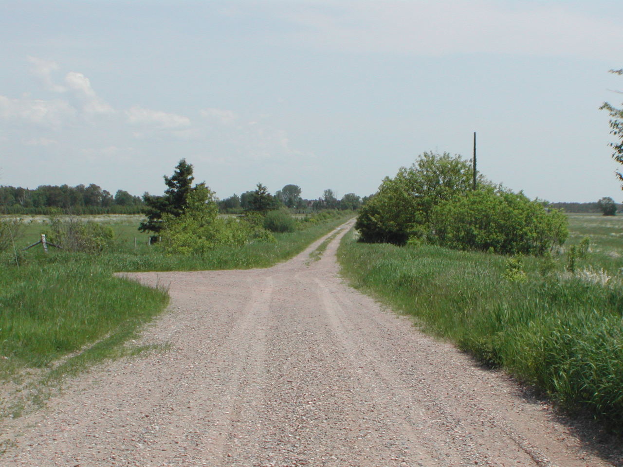 0 East 10 Mile Road Dafter, MI 49724 - Photo 6 of 9 Gallery Image 6