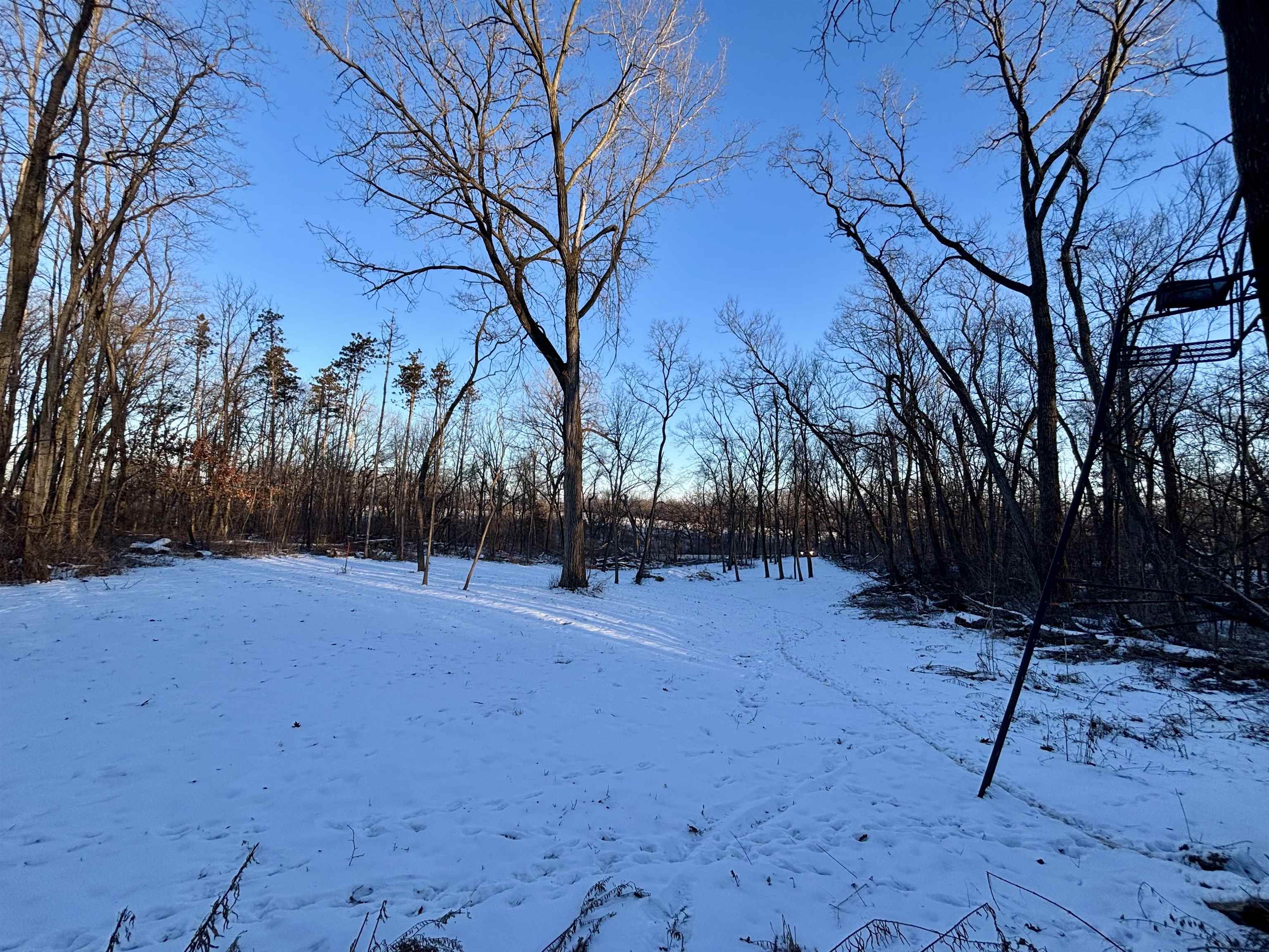 9.85-acres East Airport Road Stockton, IL 61085 - Photo 11 of 25