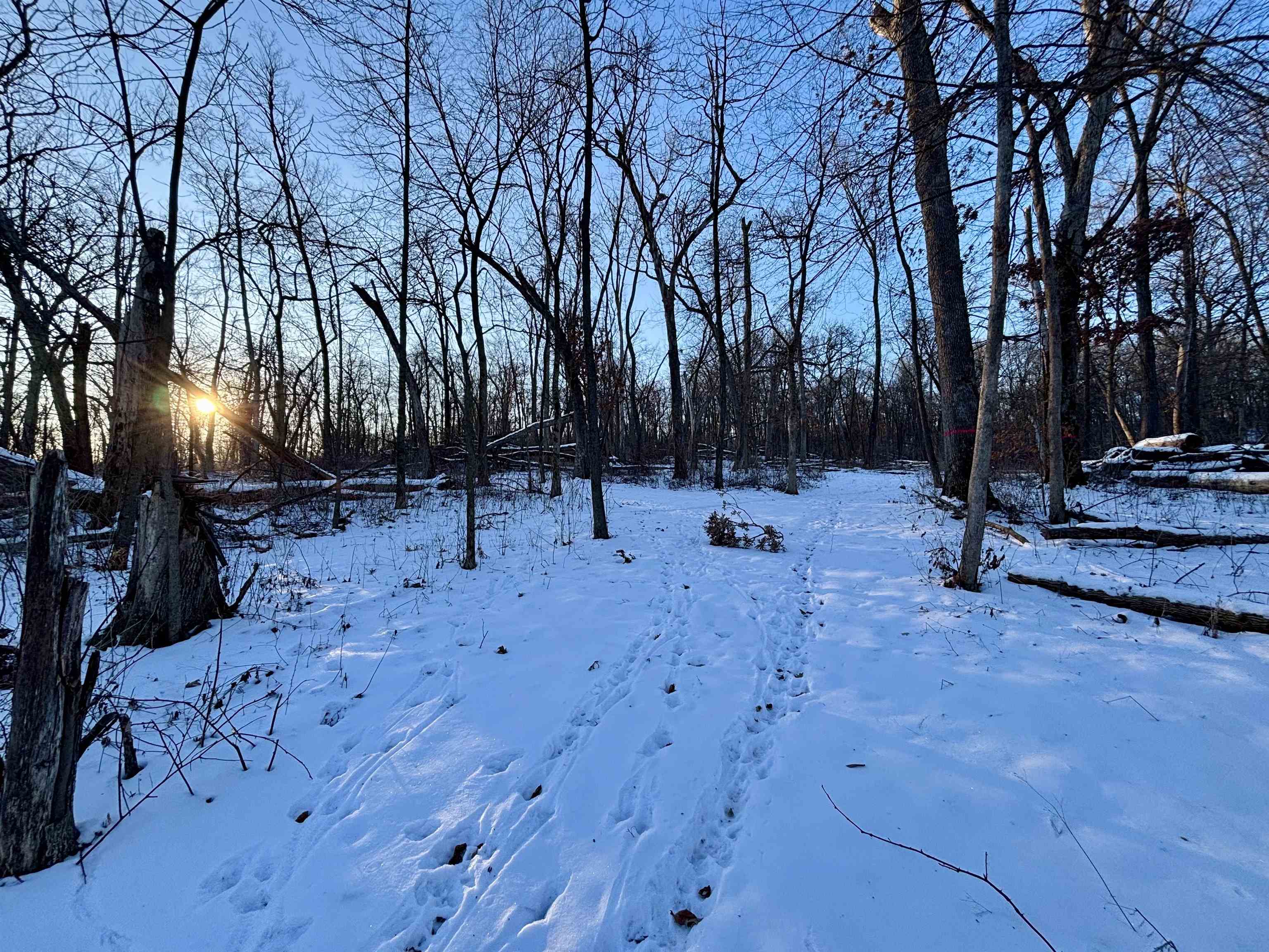9.85-acres East Airport Road Stockton, IL 61085 - Photo 13 of 25