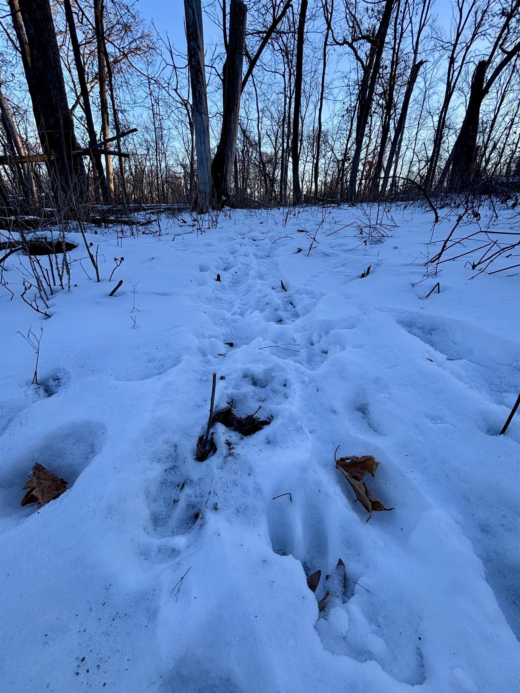 9.85-acres East Airport Road Stockton, IL 61085 - Photo 14 of 25