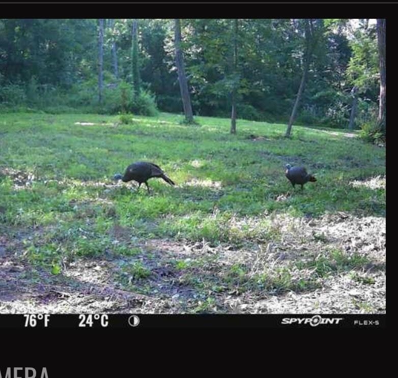 9.85-acres East Airport Road Stockton, IL 61085 - Photo 19 of 25